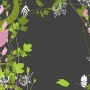 pattern 01