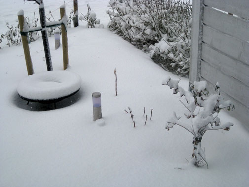 Snö i rabatten utanför köket