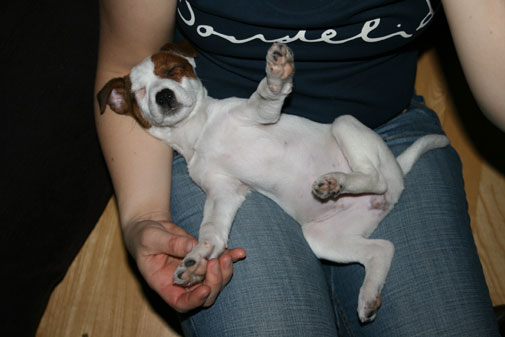 Wilma sover Wilma sover
